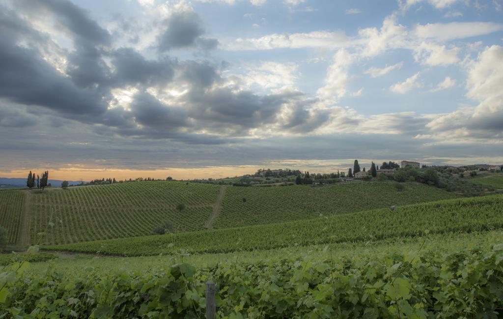 Belvedere Di San Leonino Castellina in Chianti